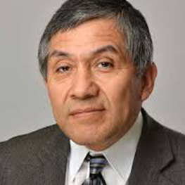 Dr. Mojtaba Ahmadi