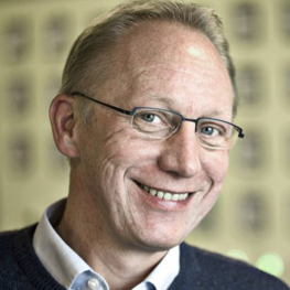 Prof. Søren Linderoth